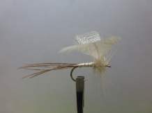 Size 10 Mayfly White